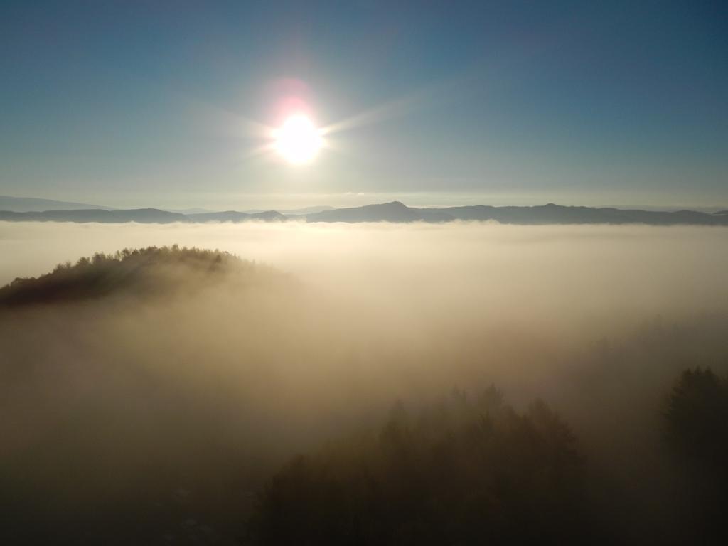 Shin Furano Prince Hotel Dış mekan fotoğraf Fog over the Black Forest